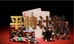 正版材料大全全年2019小说一共几多页数（